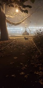 Одеська область, Одеса, Приморський