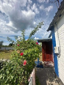 Мальовничий будинок у с. Плесецьке