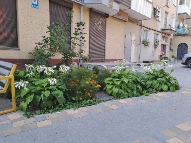 Оренда фасадного приміщення на бульв. Д.Галицького.