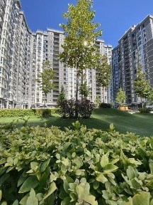 Київська область, Буча