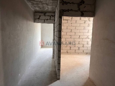 Черкаська область, Черкаси