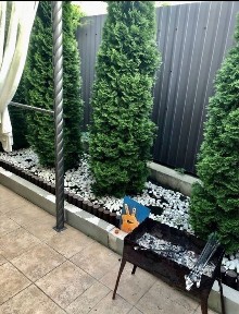 АРКАДИЯ. КАМАНИНА. Сдам дом, АОГВ, газ. До июня