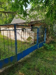 Продається садиба в селі Радівка