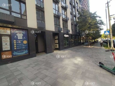 Київська область, Київ, Шевченківський