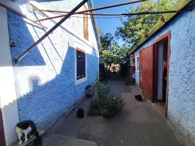 м. Вознесенськ, вул. Плодова (Пряме)