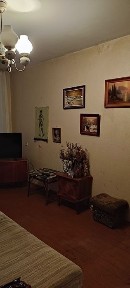 Житомирська область, Житомир, Польова