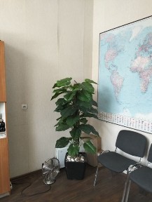 Київська область, Київ, Дніпровський