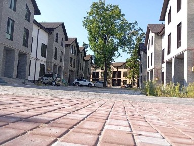 Київська область, Петропавлівська Борщагівка