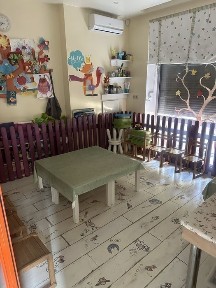 Київська область, Київ, Шевченківський