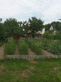 Продається малегький будинок 34 м зі всема зручностями 12 соток