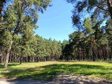 Дача біля лісу, просто поруч - річка Білоус !