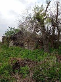 Земельна ділянка з старим будинком с. Андріївка