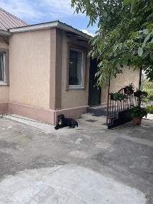 Дніпропетровська область, Дніпро, Амур-Нижньодніпровський