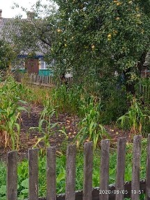 будинок, земельна ділянка