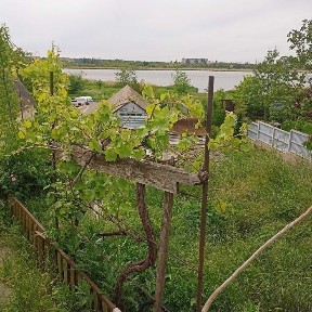 Продаю дом с участком в Ракетном Урочище