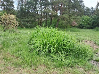 Київська область, Малютянка