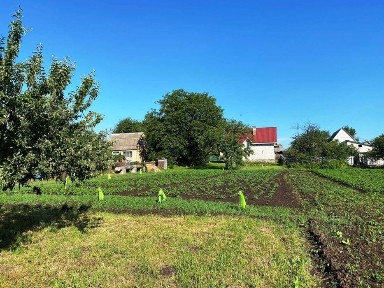 Будинок в центрі Макарова під ремонт, без комісії