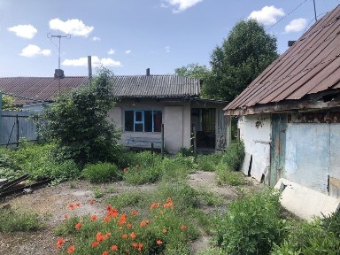 Житомирська область, Брусилів