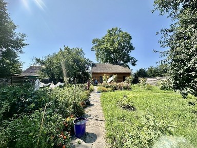 Без комісії. Продам будинок на ділянці 50сот. в Бородянці.