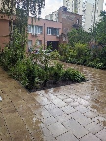 Київська область, Київ, Голосіївський