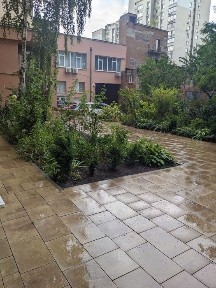 Київська область, Київ, Голосіївський