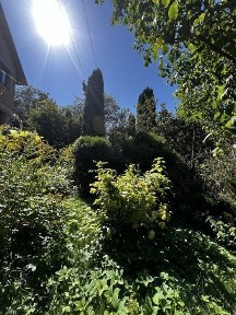 Затишний заміський будинок із каміном та атмосферою мисливського дому!