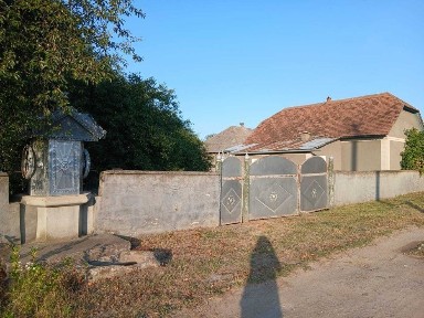 Велике господарство в селі Малинці