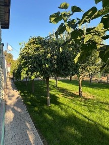 Одеська область, Одеса, Київський