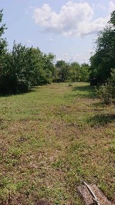 Київська область, Біла Церква