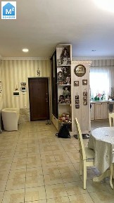 Київська область, Софіївська Борщагівка