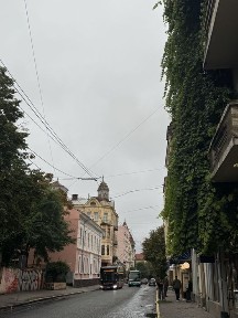 Чернівецька область, Чернівці