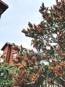 Одеська область, Чорноморськ