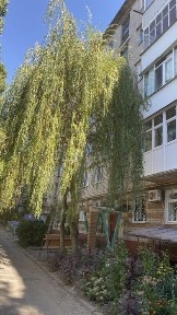 Полтавська область, Кременчук