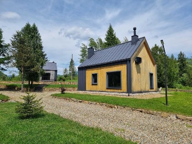 Продаж два будинки 116.5 м. кв. 24 сот. вул. Шевченка 164 с. Гребенів