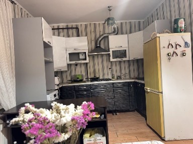 Київська область, Гостомель