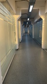 Харківська область, Харків, Шевченківський