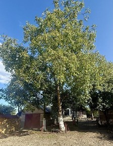 Будинок з гаражем у м. Волочиськ Хмельницької області