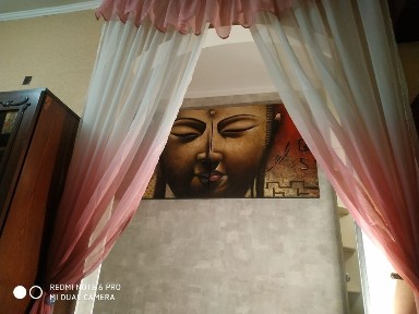 Срочно сдам квартиру в Приморском районе! Можно с собачкой!