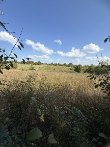 Будинок в с. Вереміївка