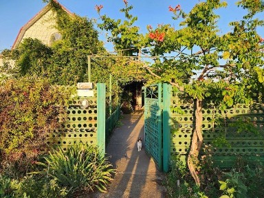 Предлагается к продаже дом. Село: Граденицы