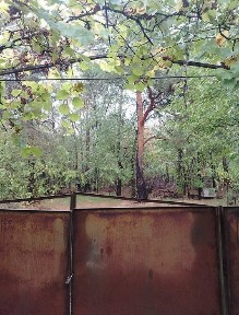 Дніпропетровська область, Курилівка