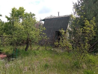 Продам дачний будинок в СТ Лісовий