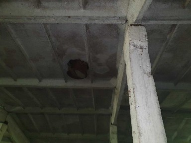 Чернівецька область, Хлівище