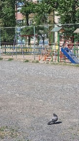 Продаж 3х кімнатної квартири 5 Зарічний