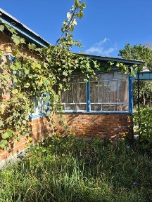 Великий будинок на березі Десни