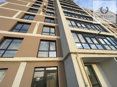 Тернопільська область, Тернопіль