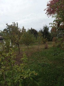 Продається будинок з гарною ділянкою в Тарасівкі Броварського р-ну