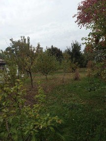 Продається будинок з гарною ділянкою в Тарасівкі Броварського р-ну