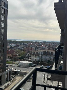 Одеська область, Ліски