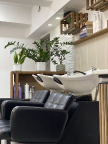 Київська область, Київ, Печерський